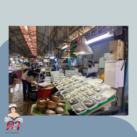 สั่งซื้อปลาทูแม่กลอง
